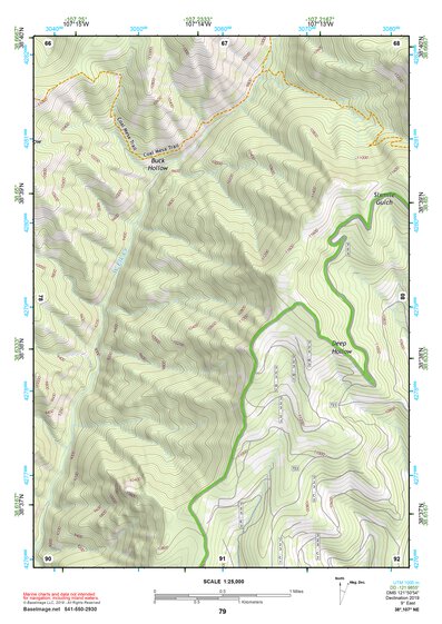 38107NE Page 79 Paonia Topo Preview 1