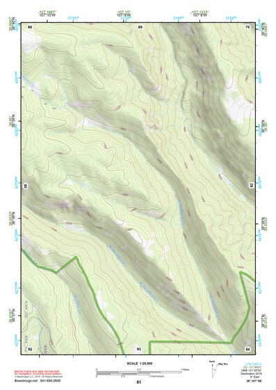 38107NE Page 81 Paonia Topo Preview 1