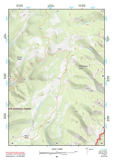 38107NE Page 87 Paonia Topo Preview 1