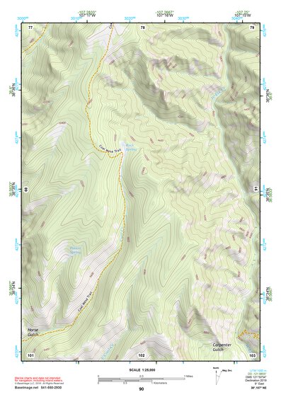 38107NE Page 90 Paonia Topo Preview 1
