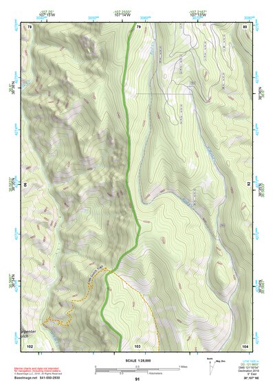 38107NE Page 91 Paonia Topo Preview 1