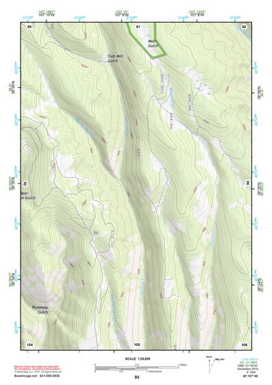 38107NE Page 93 Paonia Topo Preview 1