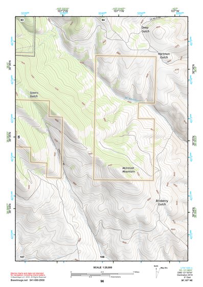 38107NE Page 96 Paonia Topo Preview 1