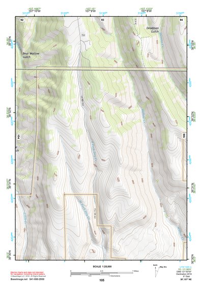 38107NE Page 105 Paonia Topo Preview 1