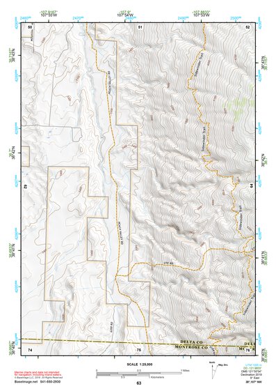 38107NW Page 63 Paonia Topo Preview 1