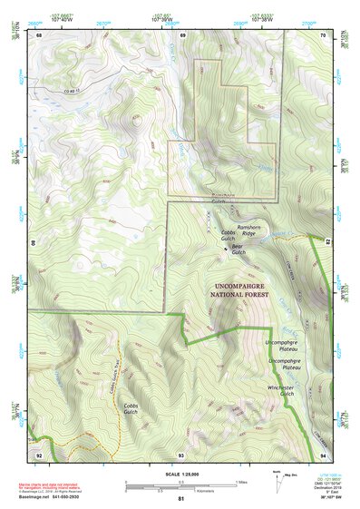 38107SW Page 81 Montrose Topo Preview 1