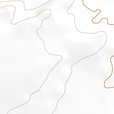 38110NE Page 50 San Rafael Desert Topo Preview 2