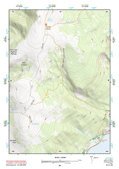 38111NW Page 91 Salina Topo Preview 1