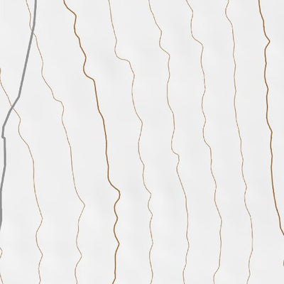 38111SW Page 38 Loa Topo Preview 2