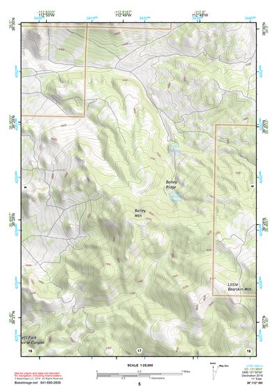 38112SW Page 5 Beaver Topo Preview 1