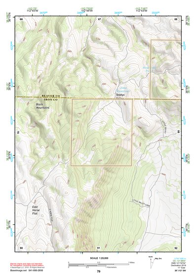 38112SW Page 79 Beaver Topo Preview 1