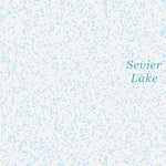 38113NE Page 10 Wah Wah Mountains North Topo Preview 3
