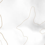 38113NE Page 42 Wah Wah Mountains North Topo Preview 2