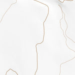 38113NE Page 49 Wah Wah Mountains North Topo Preview 2