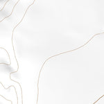 38113NE Page 53 Wah Wah Mountains North Topo Preview 2