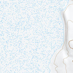 38113NE Page 57 Wah Wah Mountains North Topo Preview 3