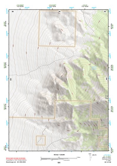 38113NE Page 101 Wah Wah Mountains North Topo Preview 1