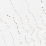 38113NW Page 53 Wah Wah Mountains North Topo Preview 2