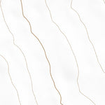38113NW Page 102 Wah Wah Mountains North Topo Preview 2