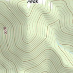 38114SE Page 77 Wilson Creek Range Topo Preview 3