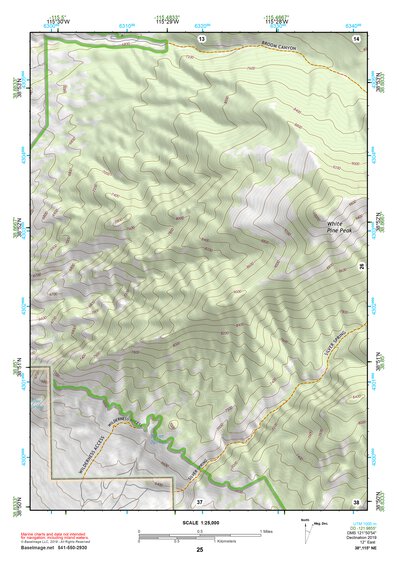 38115NE Page 25 Duckwater Topo Preview 1