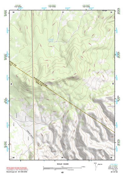 38115NE Page 43 Duckwater Topo Preview 1