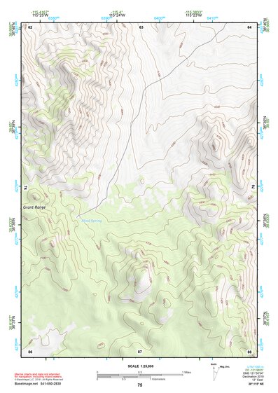 38115NE Page 75 Duckwater Topo Preview 1