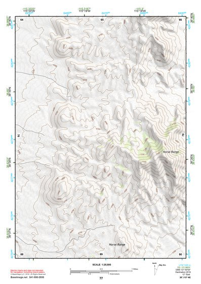38115NE Page 77 Duckwater Topo Preview 1