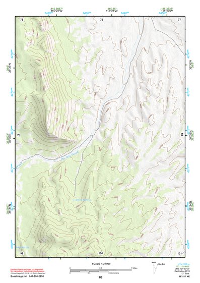 38115NE Page 88 Duckwater Topo Preview 1