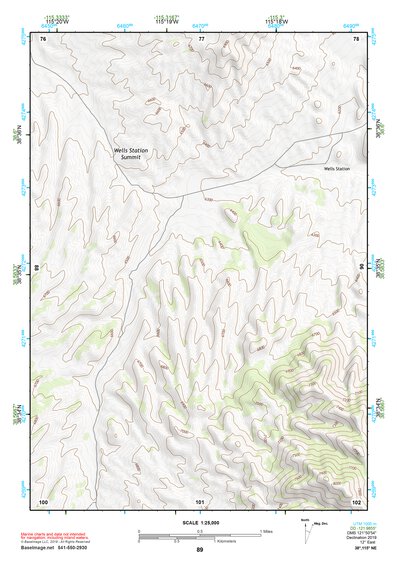 38115NE Page 89 Duckwater Topo Preview 1