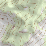 38115NE Page 97 Duckwater Topo Preview 2