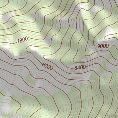 38115NE Page 97 Duckwater Topo Preview 3