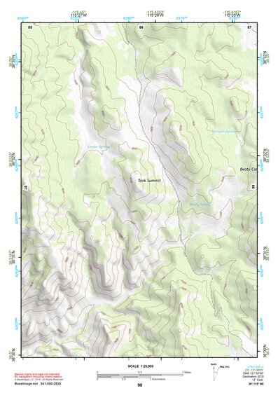 38115NE Page 98 Duckwater Topo Preview 1