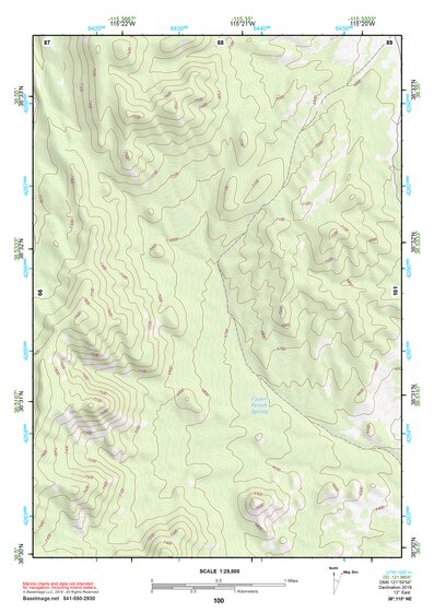 38115NE Page 100 Duckwater Topo Preview 1