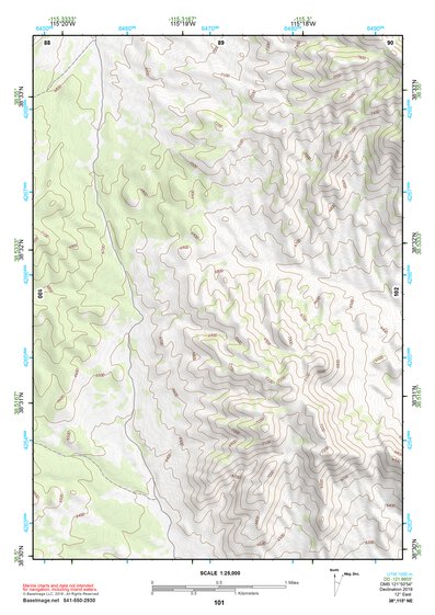 38115NE Page 101 Duckwater Topo Preview 1
