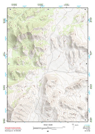 38115NW Page 65 Duckwater Topo Preview 1
