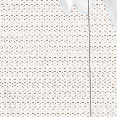 38115NW Page 105 Duckwater Topo Preview 2