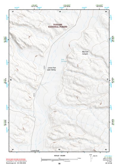 38116NE Page 50 Mount Jefferson Topo Preview 1