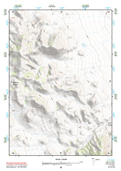 38116SE Page 75 Warm Springs Topo Preview 1
