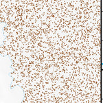 38117NE Page 8 Ione Valley Topo Preview 3