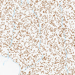 38117NE Page 9 Ione Valley Topo Preview 2