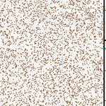 38117NE Page 9 Ione Valley Topo Preview 3