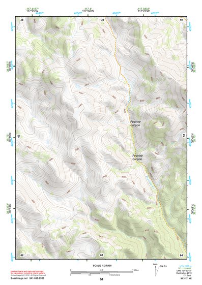 38117NE Page 51 Ione Valley Topo Preview 1