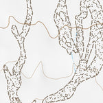 38117NW Page 107 Ione Valley Topo Preview 3