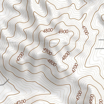 38118NE Page 31 Walker Lake Topo Preview 3