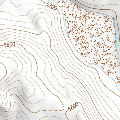 38118NW Page 13 Walker Lake Topo Preview 3