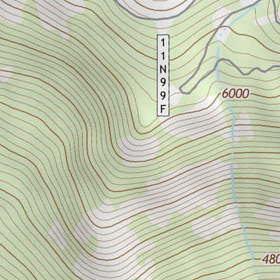 38120NE Page 42 Placerville Topo Preview 3