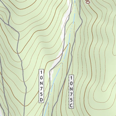 38120NE Page 63 Placerville Topo Preview 2