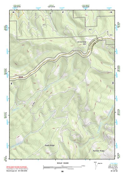 38120NE Page 99 Placerville Topo Preview 1