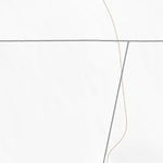 38121NW Page 86 Sacramento Topo Preview 2